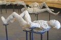 Pompeii victims