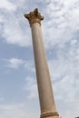 Pompey Pillar in Alexandria, Egypt Royalty Free Stock Photo