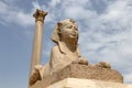 Pompey Pillar in Alexandria, Egypt Royalty Free Stock Photo