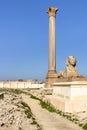 Pompey`s Pillar and sphinx stands beside the ruins of the temple of Serapis