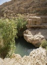 A Pond along the Prat Brook, Israel