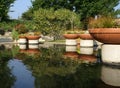 Pond at Arboretum