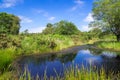 Pond at Arne in the Dorset Countryside