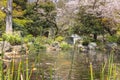 Pond of Atago shrine covered by falling petals of cherry blossoms.