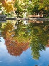 Pond in Autumn Royalty Free Stock Photo