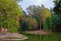 Pond in autumn forest Royalty Free Stock Photo