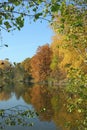 Pond in autumn, yellow leaves, reflection autumn yellow wood lake