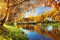 Pond in autumn, yellow leaves, reflection