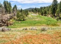 Pond below Scholz Lake in Northern Arizona Royalty Free Stock Photo