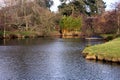 Pond at Benington Lordship Gardens.