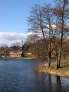 Pond in Bialowieza