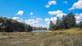 A pond a birch forest on its banks flowering field herbs and white clouds in the blue sky.