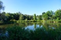 Pond in a Boise City Park, Idaho Royalty Free Stock Photo