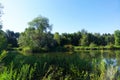 Pond in a Boise City Park, Idaho Royalty Free Stock Photo