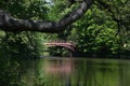 Pond and Bridge in Castle and Park Charlottenburg in Spring, Berlin