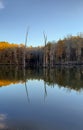 Pond on a brisk fall day