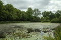 Pond At The Broersepark Park At Amstelveen The Netherlands 11-7-2022 Royalty Free Stock Photo