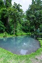 Pond at Buatong water fall and Jedsee fountain forest park Royalty Free Stock Photo