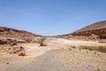 Pond with bushes along the stone river, Hamada du Draa (Morocco) Royalty Free Stock Photo