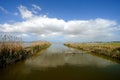 Pond Cabras - Sardinia Ã¯Â¿Â½ Italy Royalty Free Stock Photo