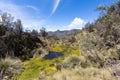 Pond in the Cajas park Cuenca Royalty Free Stock Photo