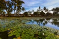 Pond in Candidasa - Bali Island Indonesia Royalty Free Stock Photo