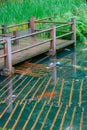 Pond with carps at Portland Japanese Garden, Portland, Oregon Royalty Free Stock Photo