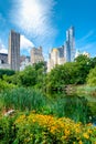 The Pond in Central Park with of the midtown Manhattan skyline in New York Royalty Free Stock Photo