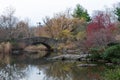 The Pond at Central Park in New York City during Spring with Colorful Plants and Trees Royalty Free Stock Photo