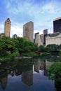 The Pond in Central Park, NYC Royalty Free Stock Photo