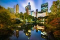 The Pond in Central Park, NYC Royalty Free Stock Photo