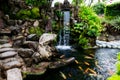 Pond in China with goldfish or Golden carp Japanese name-koi fish, Nishikigoi, Cyprinus carpio haematopterus a sacred symbol for