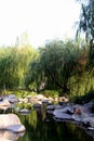 Pond in Chinese garden