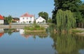 Pond in Chrast village Royalty Free Stock Photo