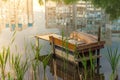 Pond in a city park with a bridge for fishermen. Reflection of houses in the water Royalty Free Stock Photo