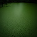 A pond covered entirely by a dense layer of green duckweed (Lemna minor), creating Royalty Free Stock Photo