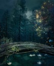 Pond in a dark forest with water lilies and shining lights