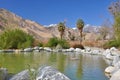 Pond in the desert Royalty Free Stock Photo