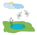 The pond with the dragonflies