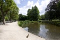 Pond with ducks vondel park amsterdam Royalty Free Stock Photo