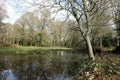 Pond in early springtime on Chorleywood Common