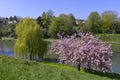 Pond at Falaise in France