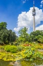 Pond and flowers in front of the TV tower in Dortmund Royalty Free Stock Photo