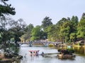 Pond with flowers, Shillong, Meghalaya, India