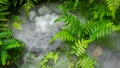 A pond fogger moistens fern plants in a forest garden Royalty Free Stock Photo