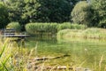 Pond with a footbridge