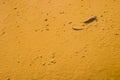 Pond with footprint, Rio Tinto