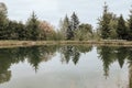 A pond in the forest, a calm summer landscape. Small mountain lake. Fir trees are reflected in the water. Royalty Free Stock Photo