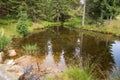 Pond in the forest landscape Royalty Free Stock Photo