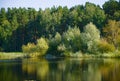 Pond in the forest in late summer